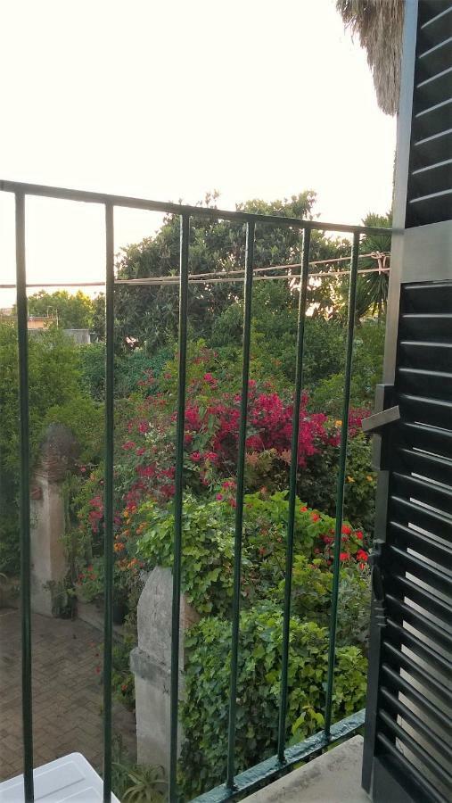 テッラチーナ Angelina Antica Dimora Bed & Breakfast エクステリア 写真